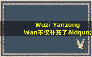 Wuzi  Yanzong  Wan不仅补充了“ Yang”并巩固了“ Essence”，而且还解决了这五个问题！
